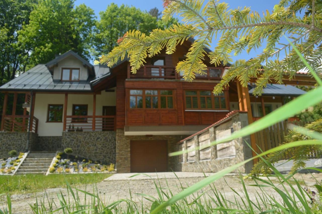 Domek Nad Kryniczanka Krynica-Zdrój Extérieur photo